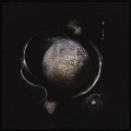 Cover-Bild zum Titel 'Cold Black Suns' von 'Enthroned'