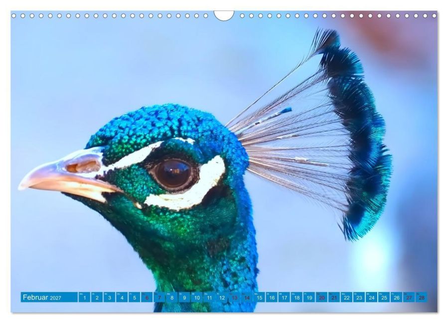 InsideView 7