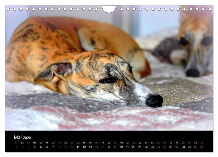 InsideView 10