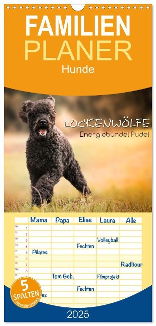 Familienplaner 2025 - Lockenwölfe - Energiebündel Pudel mit 5 Spalten (Wandkalender, 21 x 45 cm) CALVENDO - Alexandra Hollstein