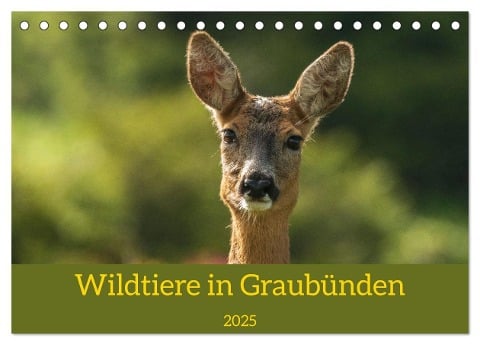 Wildtiere in Graubünden (Tischkalender 2025 DIN A5 quer), CALVENDO Monatskalender - Jürg Plattner