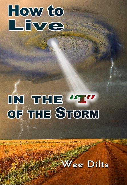 How to Live in the "I" of the Storm - Wee Dilts