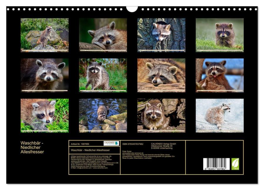 InsideView 5
