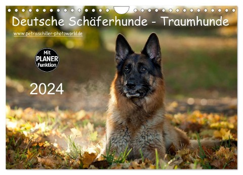 Deutsche Schäferhunde - Traumhunde (Wandkalender 2024 DIN A4 quer), CALVENDO Monatskalender - Petra Schiller
