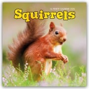 Squirrels - Eichhörnchen 2026 - Wand-Kalender - Carousel Calendar