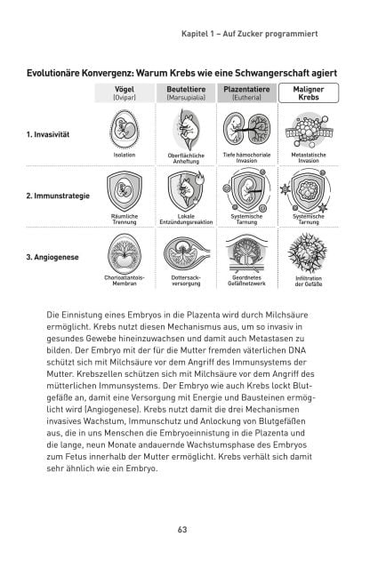 InsideView 64
