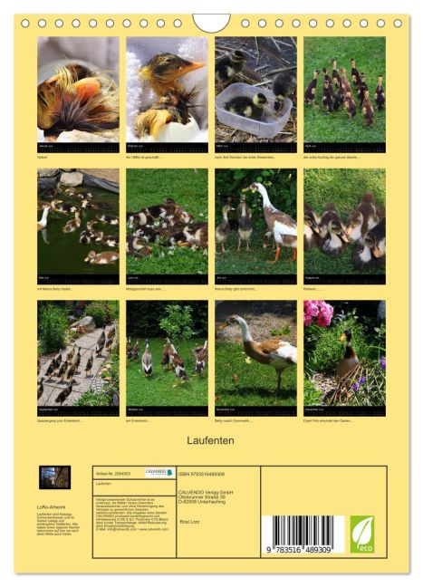 InsideView 5
