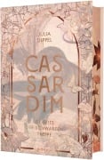 Cover-Bild zum Titel 'Cassardim 2: Jenseits der Schwarzen Treppe' von 'Julia Dippel'