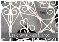 Cover-Bild zum Titel 'Les chevaux du Maroc (Calendrier mural 2026 DIN A3 vertical), CALVENDO calendrier mensuel' von 'Patrice Thebault'
