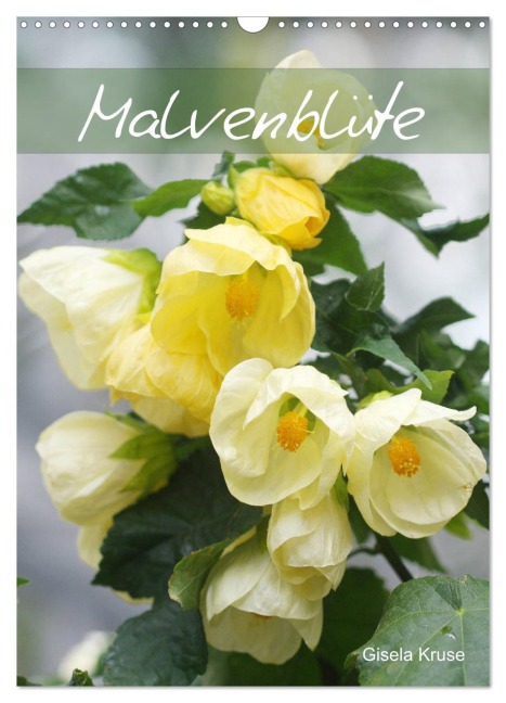 Malvenblüte (Wandkalender 2025 DIN A3 hoch), CALVENDO Monatskalender - Gisela Kruse