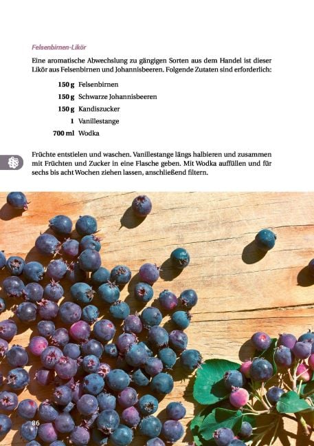 InsideView 17