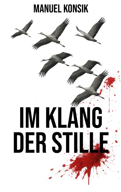 Im Klang der Stille - Manuel Konsik