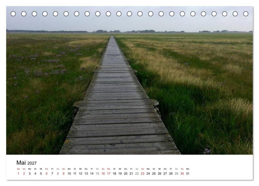 InsideView 10