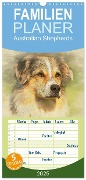 Familienplaner 2025 - Australian Shepherds 2025 mit 5 Spalten (Wandkalender, 21 x 45 cm) CALVENDO - Andrea Redecker