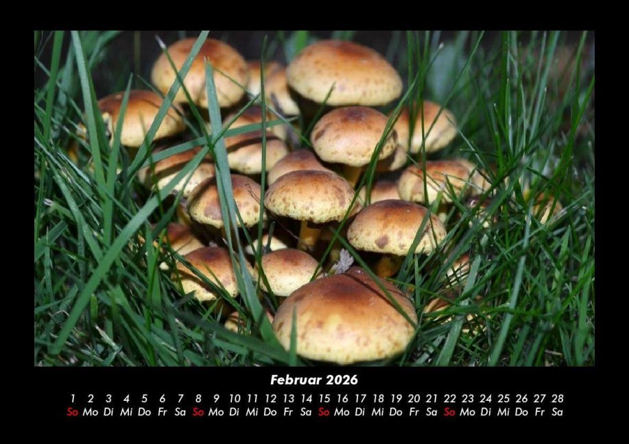 InsideView 6