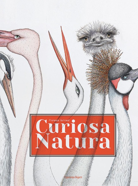 Curiosa natura - Florence Guiraud