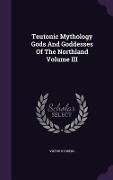 Teutonic Mythology Gods And Goddesses Of The Northland Volume III - Viktor Rydberg