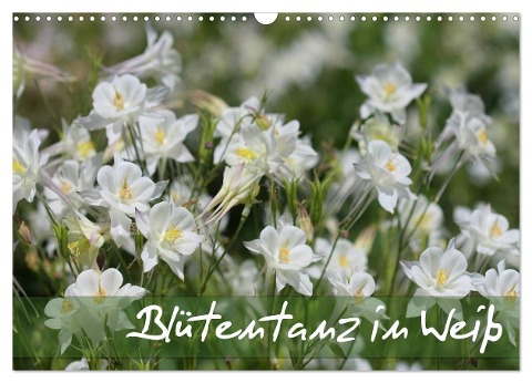 Blütentanz in Weiß (Wandkalender 2024 DIN A3 quer), CALVENDO Monatskalender - Gisela Kruse