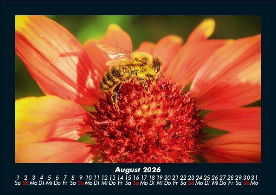 InsideView 12