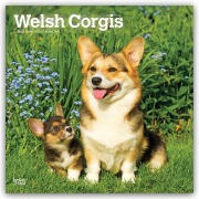 Cover-Bild zum Titel 'Welsh Corgis - Welsh Corgi 2027 - 16-Monatskalender' von 'Browntrout Publishers'