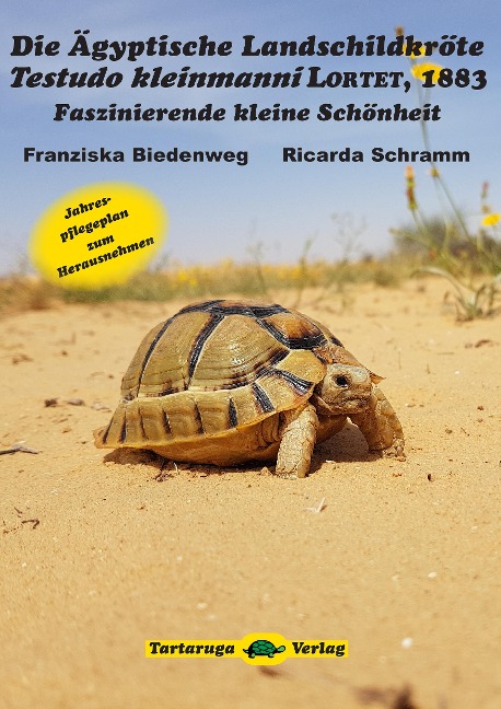 Die Ägyptische Landschildkröte Testudo kleinmanni LORTET, 1883 - Franziska Biedenweg, Ricarda Schramm