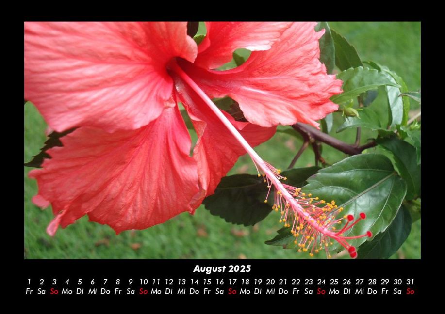 InsideView 12
