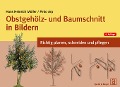 Cover-Bild zum Titel 'Obstgehölz- und Baumschnitt in Bildern' von 'Hans Heinrich Möller, Pirko Arp'