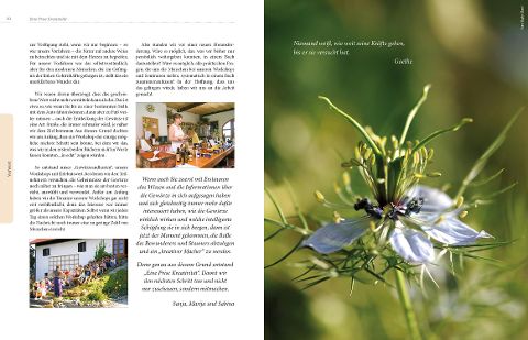 InsideView 5