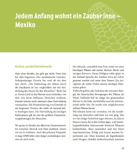 InsideView 5