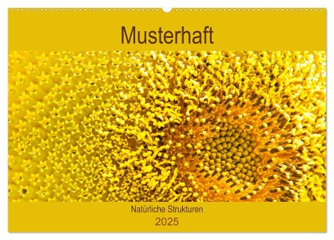 Musterhaft - Natürliche Strukturen (Wandkalender 2025 DIN A2 quer), CALVENDO Monatskalender - Meike Bölts
