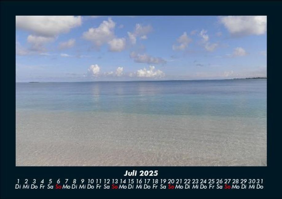 InsideView 11