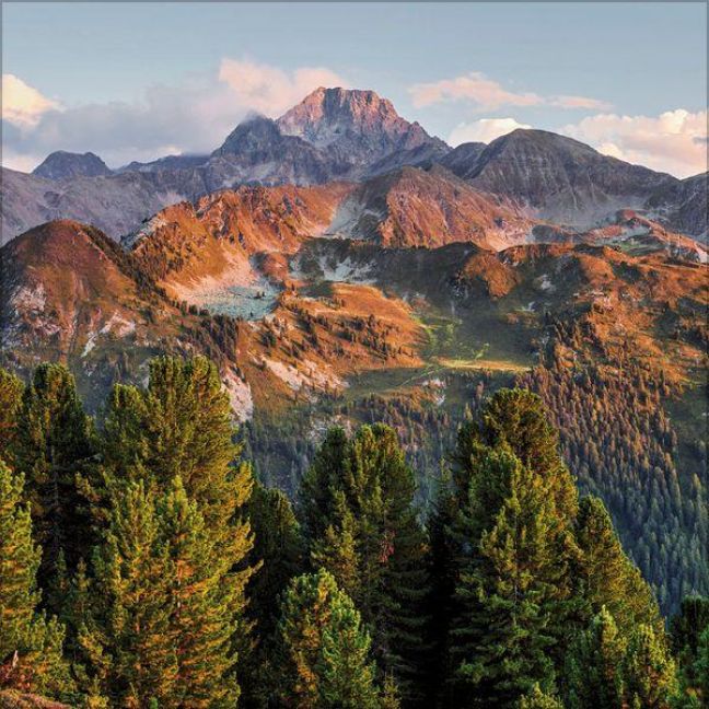 InsideView 10