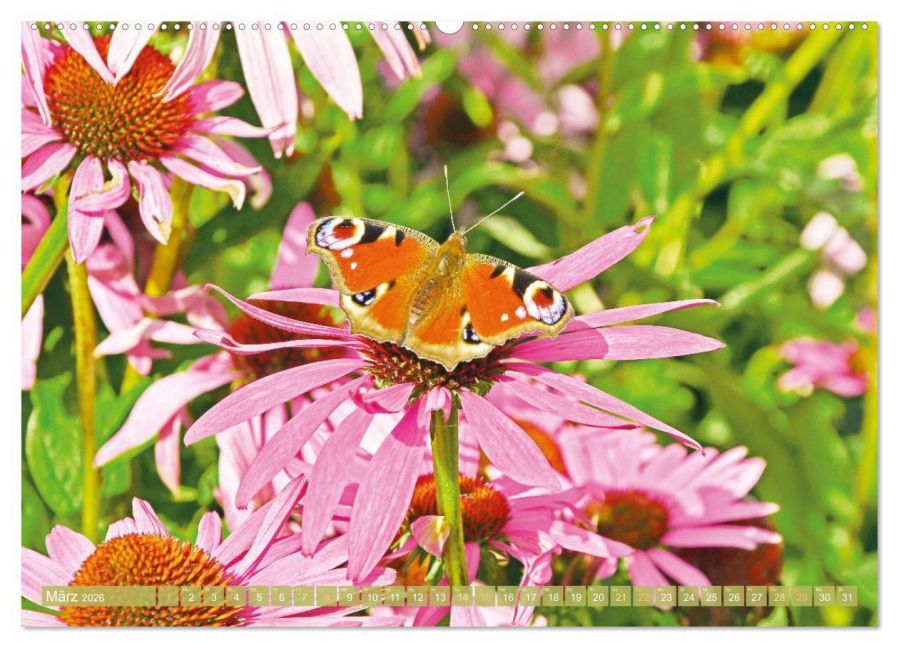 InsideView 7