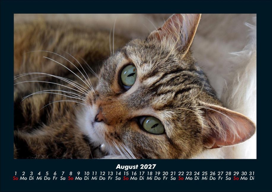 InsideView 12