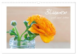 Blumen zart und schön (Wandkalender 2026 DIN A3 quer), CALVENDO Monatskalender - Petra Fischer