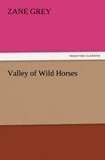 Valley of Wild Horses - Zane Grey