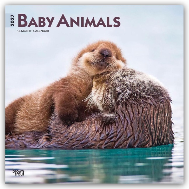 Baby Animals - Tierbabys - Tierkinder 2027 - 16-Monatskalender - Browntrout Publishers