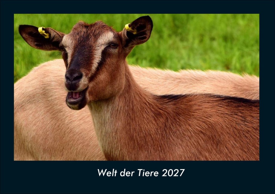 Welt der Tiere 2027 Fotokalender DIN A4 - Tobias Schmitt, Kevin Heber