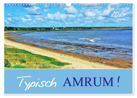 Typisch Amrum! (Wandkalender 2024 DIN A3 quer), CALVENDO Monatskalender - Jutta Heußlein