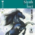 Cover-Bild zum Titel 'Siyah ¿nci' von 'Anna Sewell'