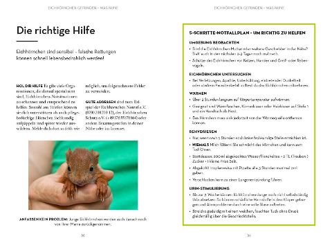 InsideView 5