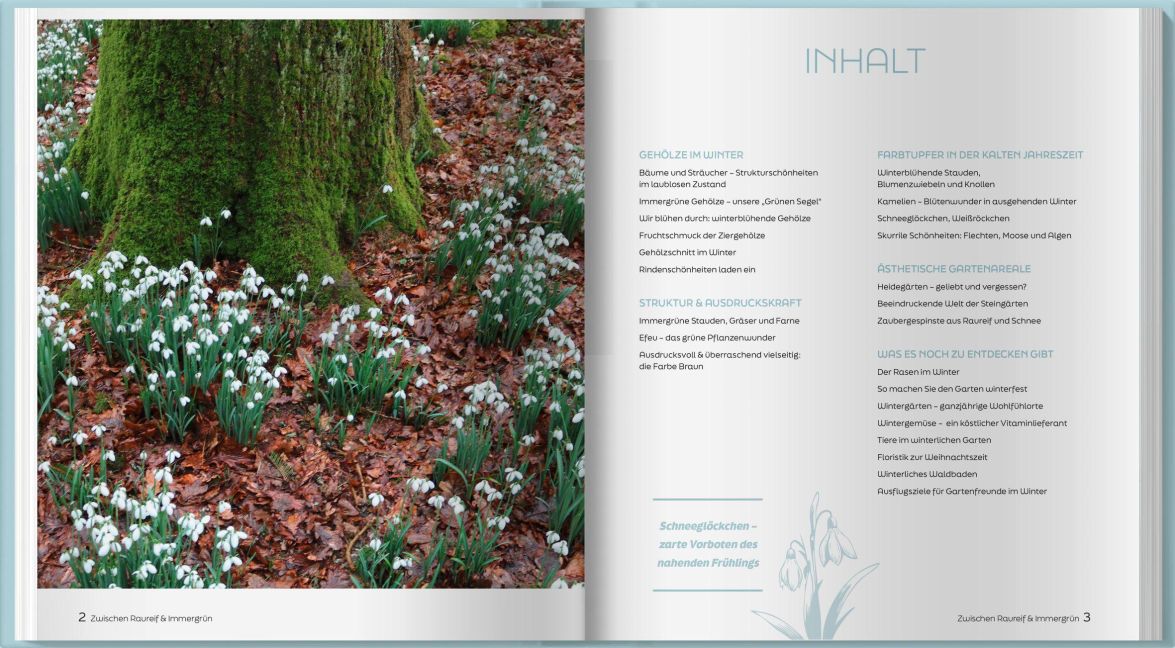 InsideView 1