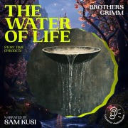 Cover-Bild zum Titel 'The Water of Life (Story Time, Episode 51)' von 'Brothers Grimm'