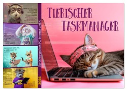 Cover-Bild zum Titel 'Tierischer Taskmanager (Wandkalender 2026 DIN A2 quer), CALVENDO Monatskalender' von 'Melanie Viola'