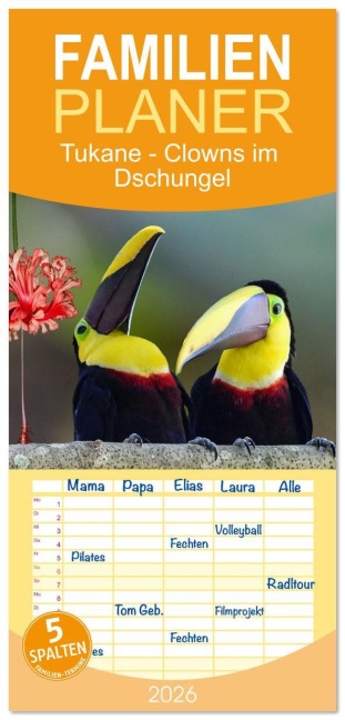 Familienplaner 2026 - Tukane - Clowns im Dschungel mit 5 Spalten (Wandkalender, 21 x 45 cm) CALVENDO - Claudia Kleemann