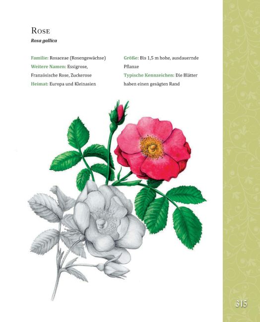 InsideView 5