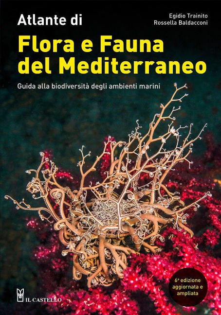 Atlante di flora e fauna del Mediterraneo. Guida alla biodiversità degli ambienti marini - Egidio Trainito, Rossella Baldacconi