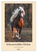 Cover-Bild zum Titel 'Schwarzwälder Füchse von Julia Hahn Photography (Wandkalender 2026 DIN A4 hoch), CALVENDO Monatskalender' von 'Julia Hahn'