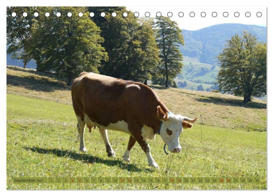 InsideView 14
