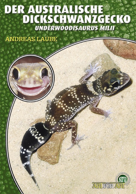 Der Australische Dickschwanzgecko - Andreas Laube